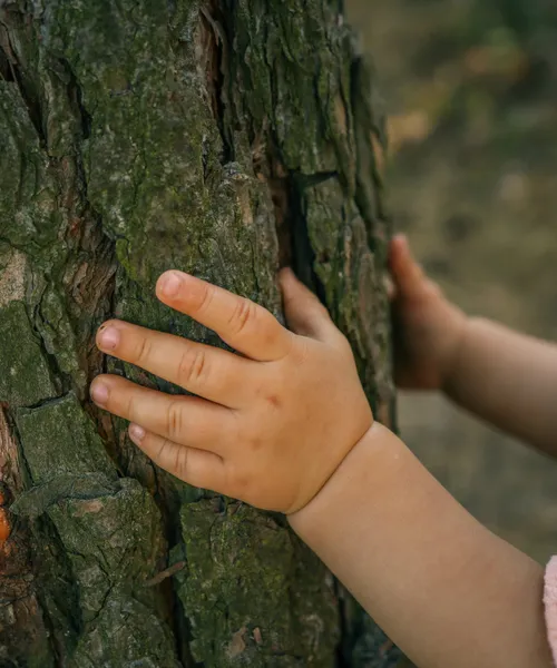 hands